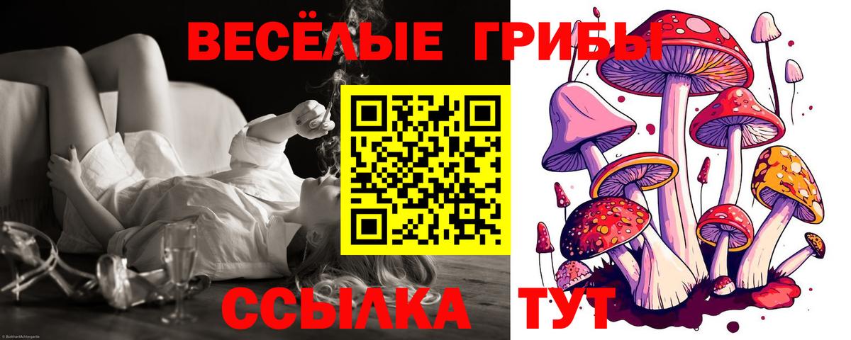 Псилоцибиновые грибы Magic Shrooms Фурманов